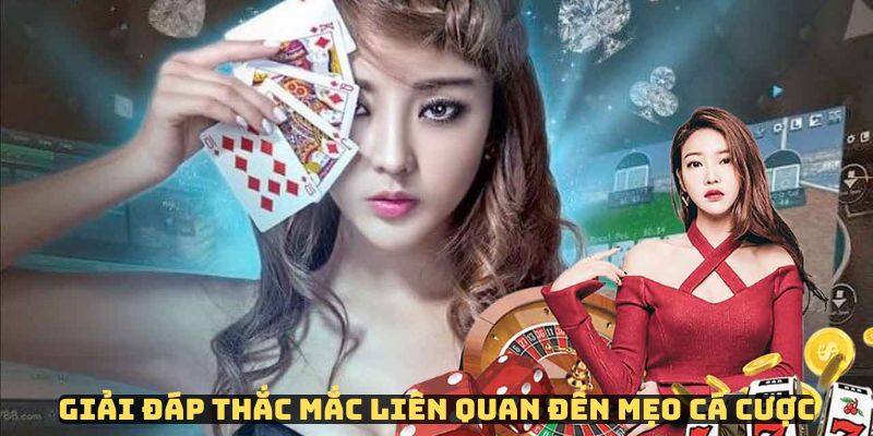 Các thắc mắc thường gặp khi tìm hiểu bí quyết cá cược từ người chơi