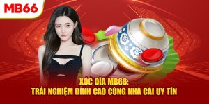 Xóc Dĩa MB66: Trải Nghiệm Đỉnh Cao Cùng Nhà Cái Uy Tín